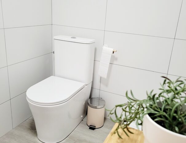 Alquile Apartamento Zapillo