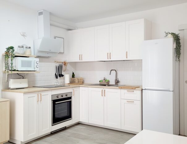 Alquile Apartamento Zapillo