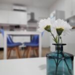 Alquiler apartamentos Zapillo