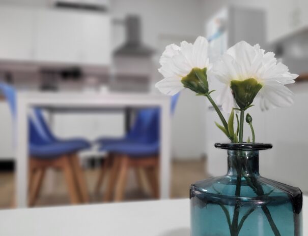 Alquiler apartamentos Zapillo
