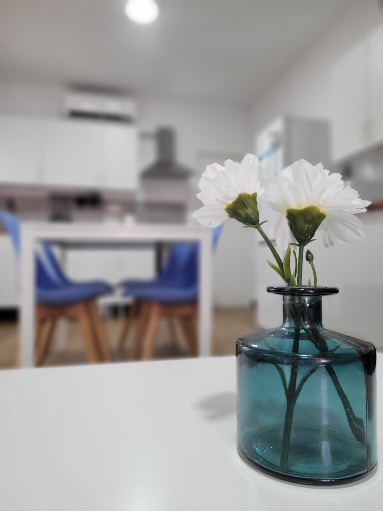 Alquiler apartamentos Zapillo